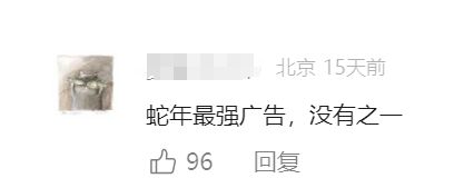 个狠年》堪称蛇年最强广告AG真人app耐克《过(图5)