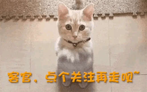 又一中产最爱的电商平台停运曾叫板淘宝！AG真人游戏地址烧光3000万美元！(图8)